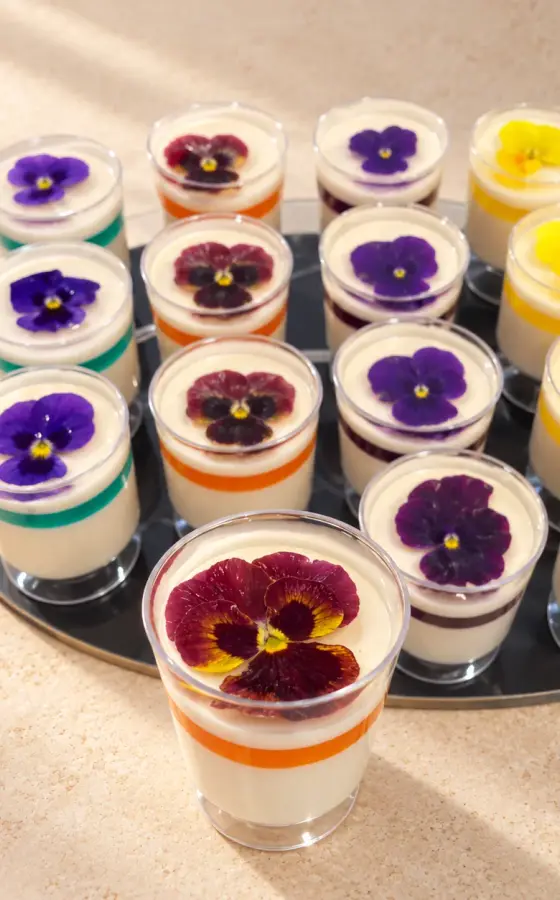 Panna Cotta Becher – persisches Catering Basel